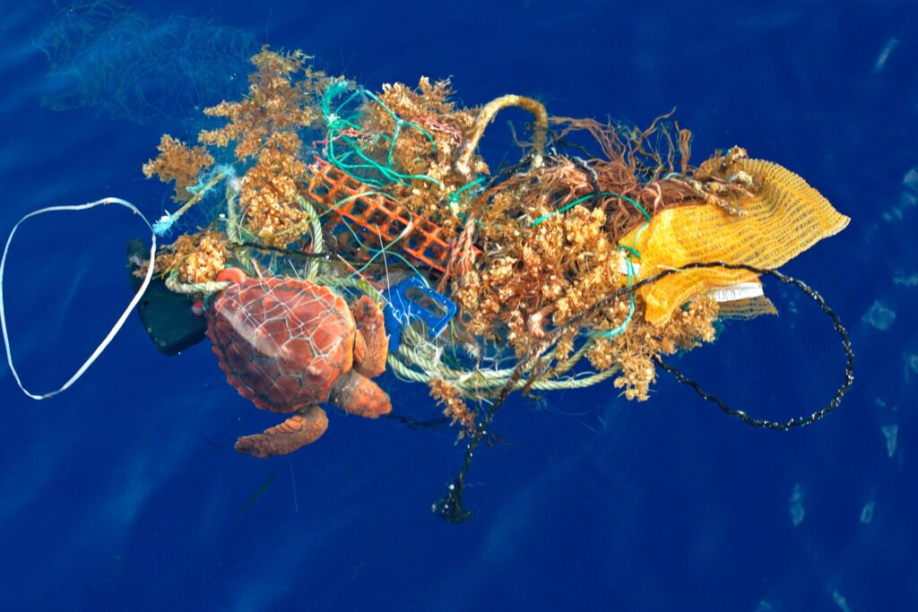 Una giovane caretta caretta intrappolata in un groviglio di rifiuti di corde, reti e lenze alla deriva.