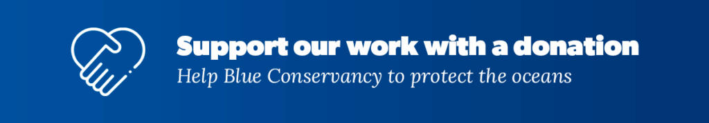 Support our work whit a donation